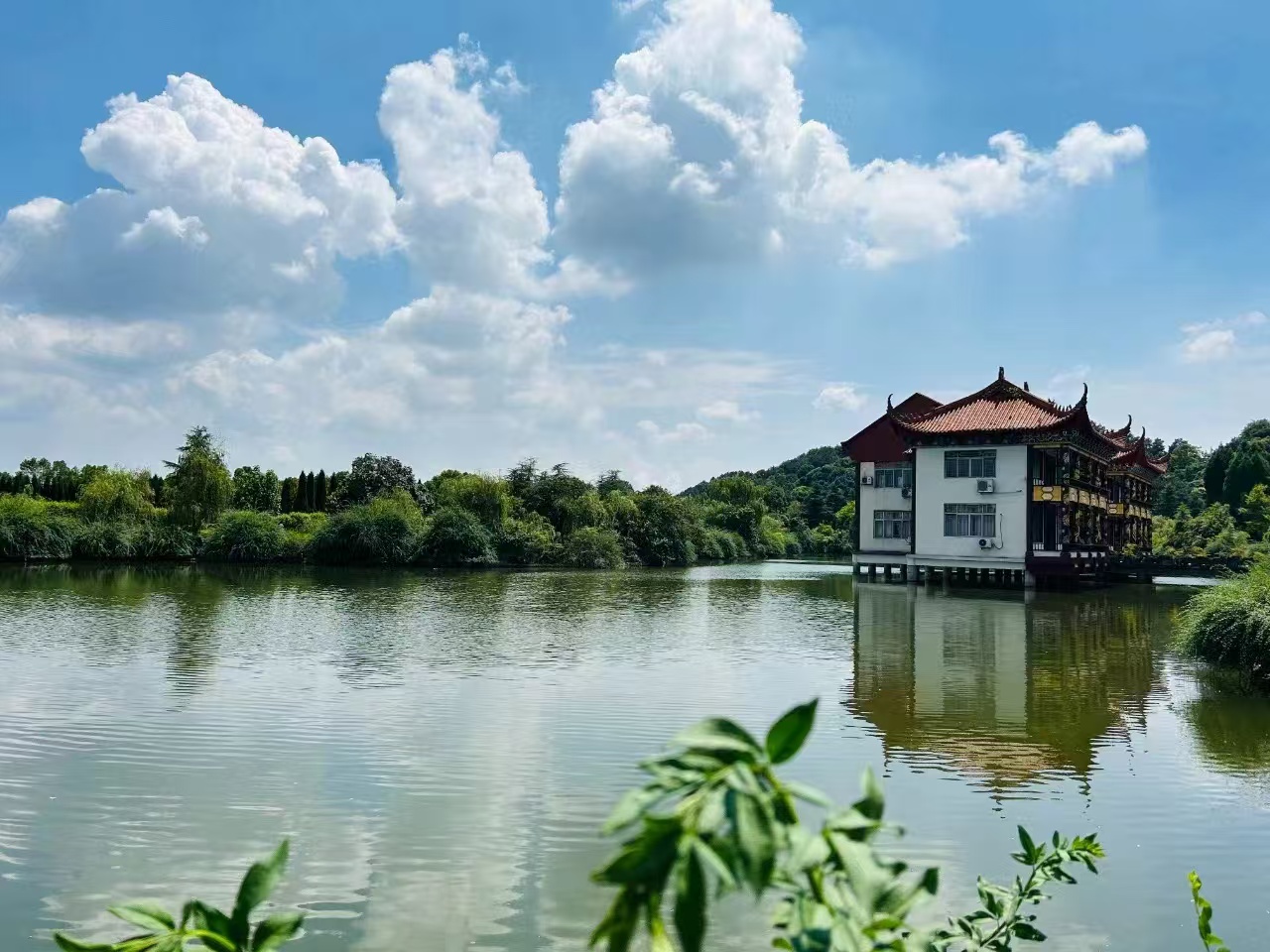 红枫艺术陵园实景3